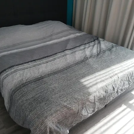 Deer Vlakbij Zee * Oostende