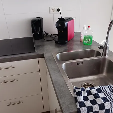 Deer Vlakbij Zee * Ostenda