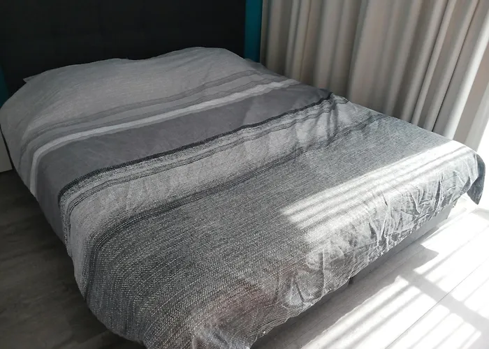 Deer Vlakbij Zee * Ostenda