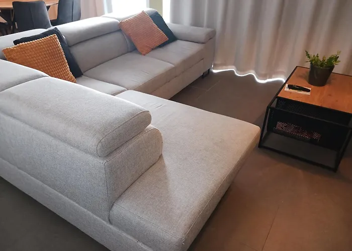 Deer Vlakbij Zee Oostende