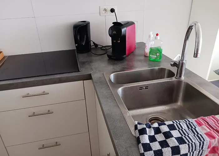 Deer Vlakbij Zee * Ostenda