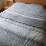 Deer Vlakbij Zee